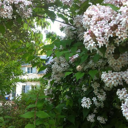 Blaison La Butte De Gohier B&B 외부 사진