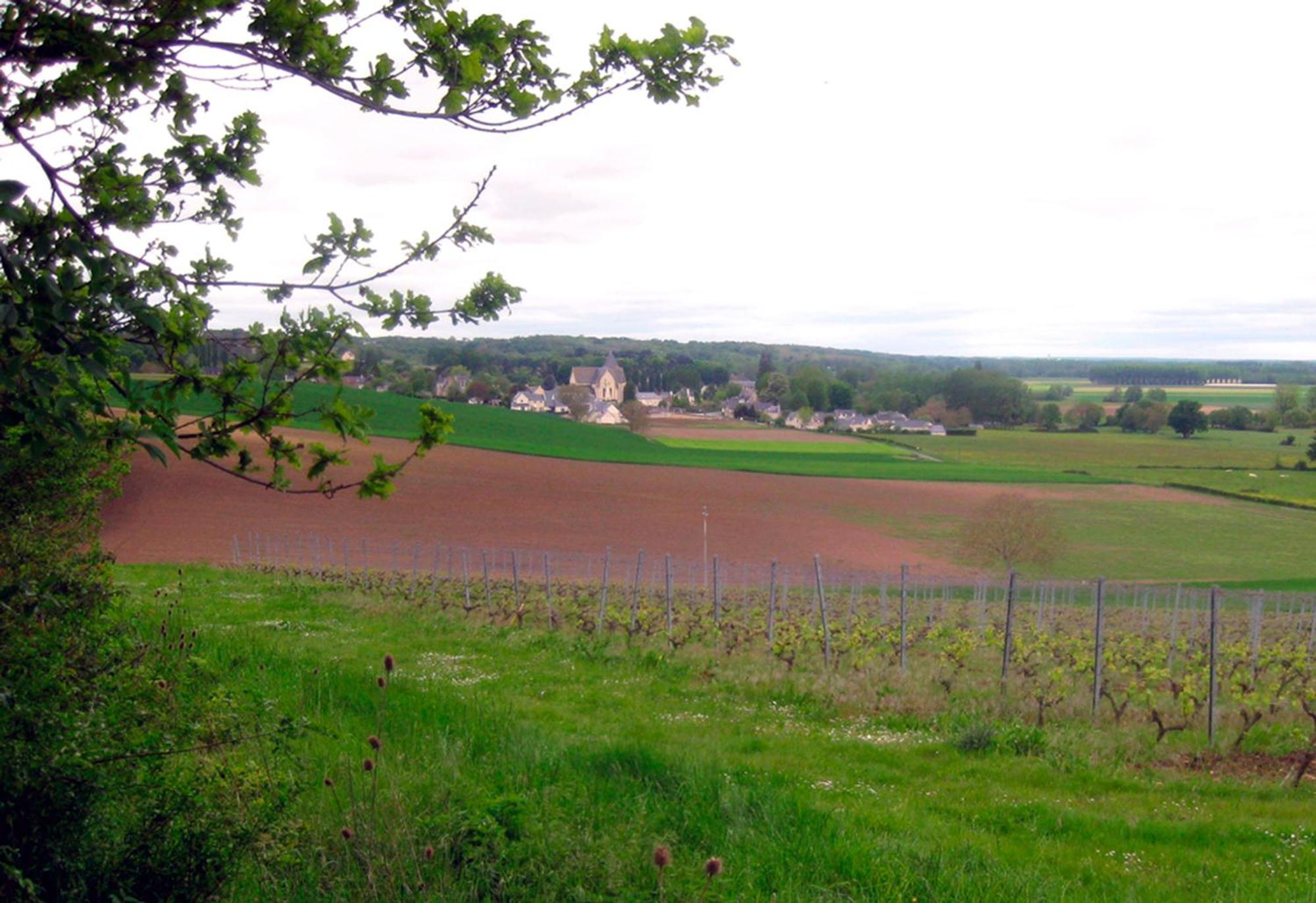 Blaison La Butte De Gohier B&B 외부 사진