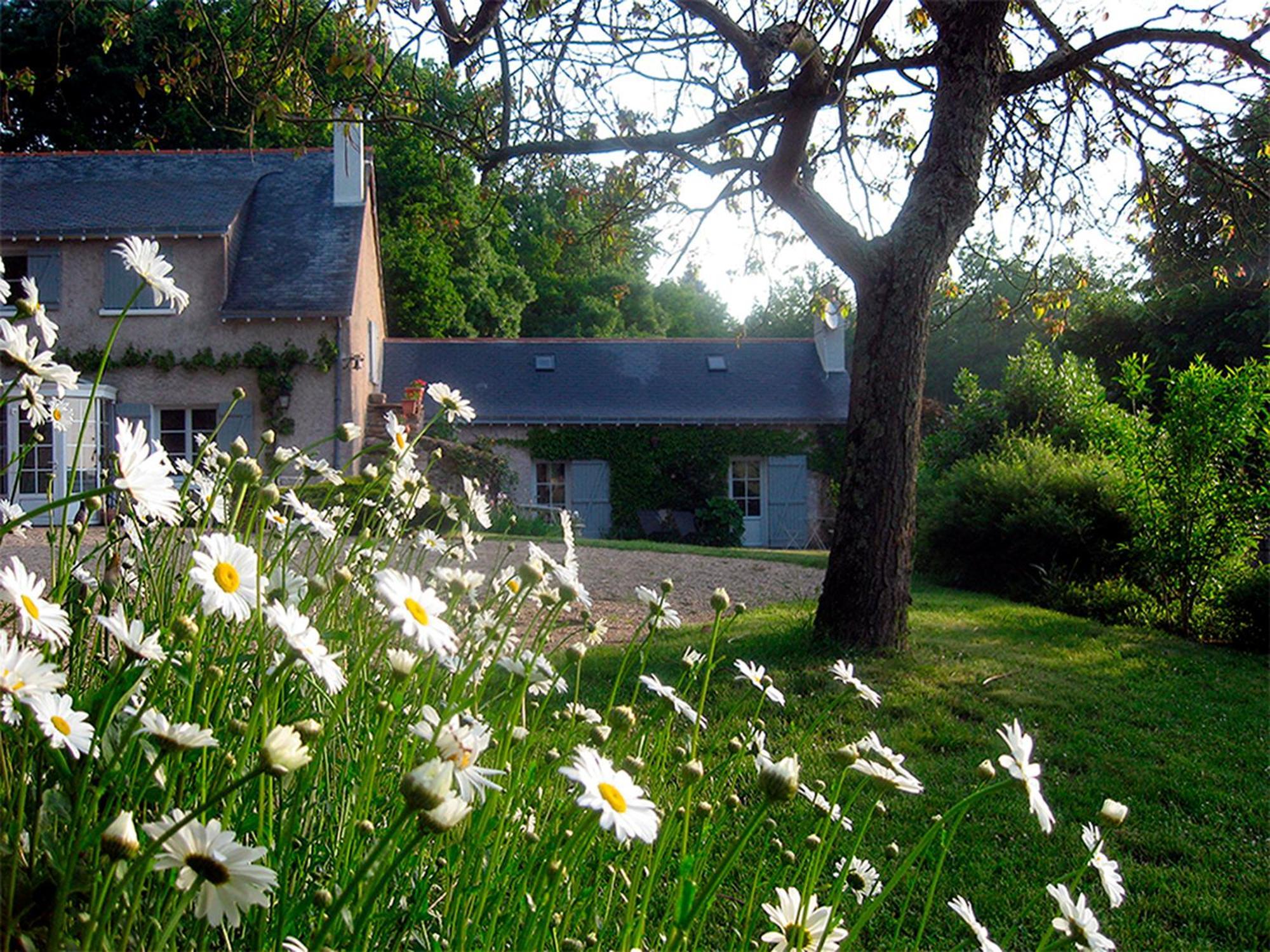 Blaison La Butte De Gohier B&B 외부 사진